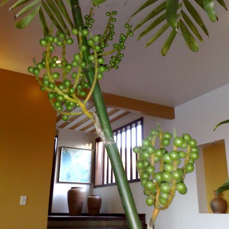 Pousada Gente Bonita Mirante Armacao dos Buzios Ngoại thất bức ảnh