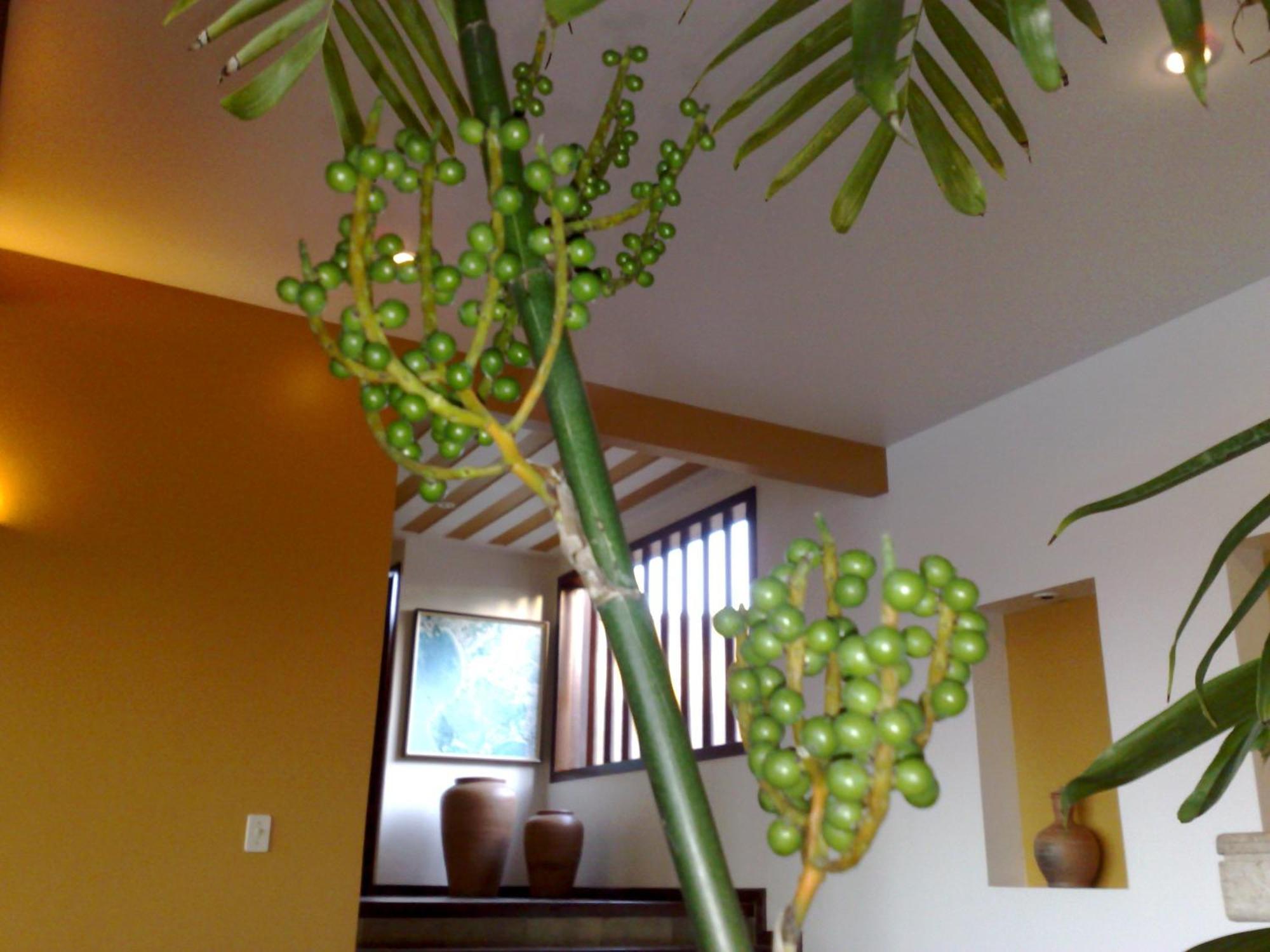 Pousada Gente Bonita Mirante Armacao dos Buzios Ngoại thất bức ảnh